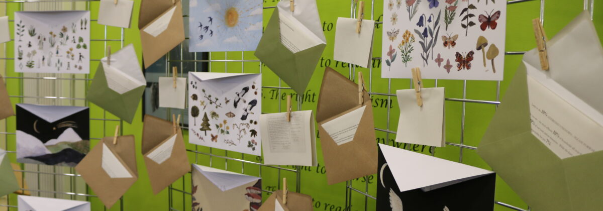 letters and envelopes pegged to a metal grid, with artwork on the larger envelopes and a green wall behind