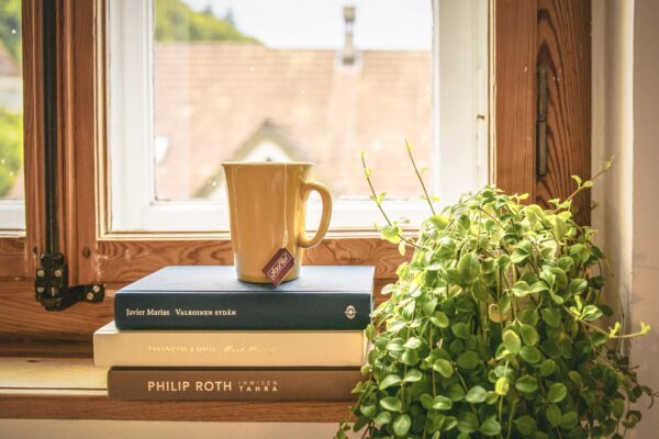 A stack of three books with a mug on top and a leafy plant beside them, all in front of a sunny window.